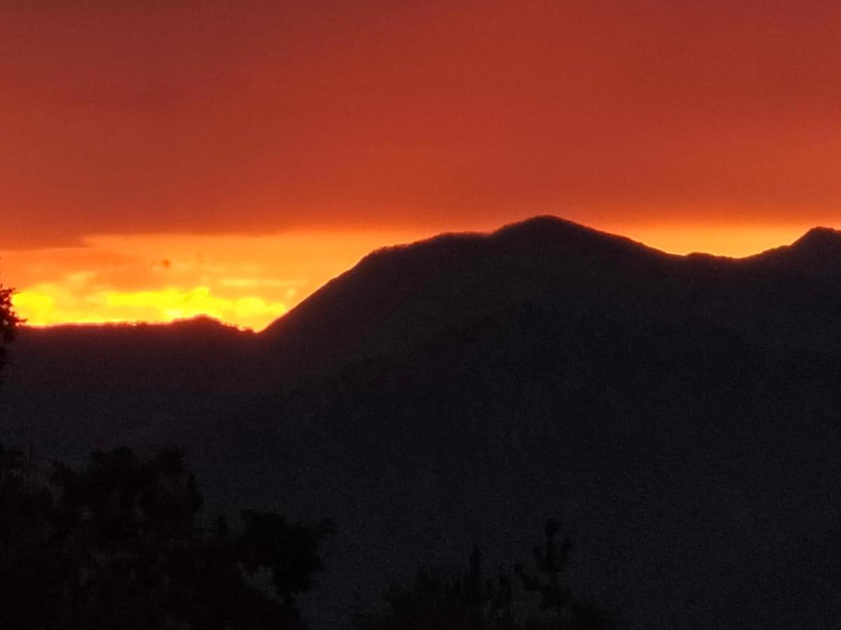 Alla tana del bianconiglio Prataccio Esterno foto