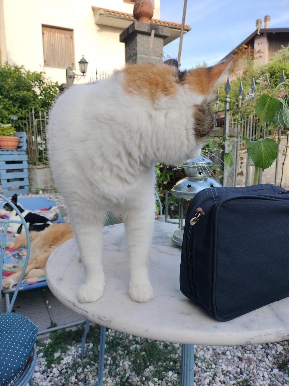 Alla tana del bianconiglio Prataccio Esterno foto